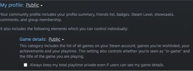 Steam privacy settings with My profile and Game details set to Public and the playtime privacy box unchecked.